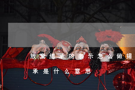 放棄繼承的表示怎么做(揚(yáng)棄繼承是什么意思)