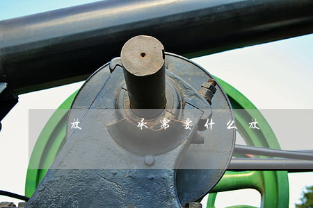 放棄繼承需要什么(放棄繼承需要什么資料)
