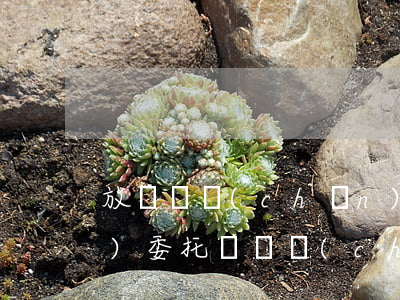 放棄遺產(chǎn)繼承授權(quán)委托書(遺產(chǎn)放棄繼承權(quán)聲明書)