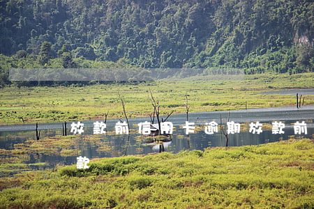 放款前信用卡逾期(放款前信用卡逾期還會放款嗎)