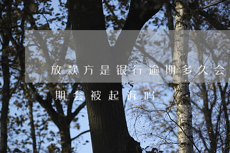放款方是银行逾期多久会被起诉(银行贷款逾期会被起诉吗)