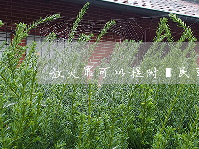 放火罪可以提附帶民事訴狀嗎