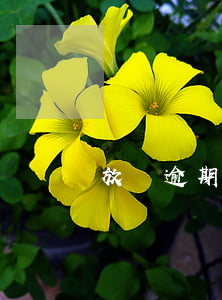 放貸逾期被起訴-貸款逾期 起訴