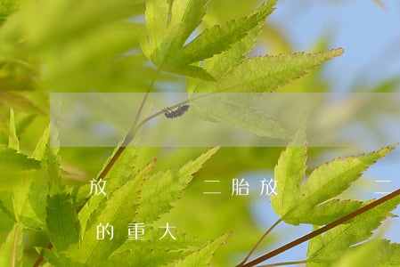 放開單獨二胎(放開單獨二胎是我國生育政策的重大)