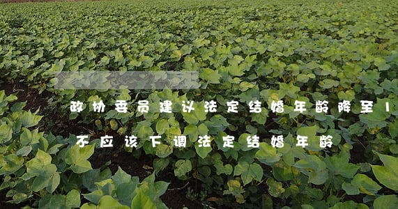 政协委员建议法定结婚年龄降至18岁(我国不应该下调法定结婚年龄)