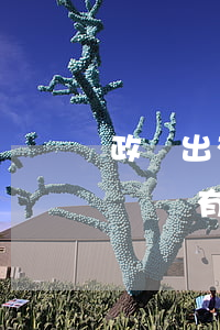 政審出有拘留記錄會(huì)告知家人嗎(親屬有被拘留過的政審能過嗎)