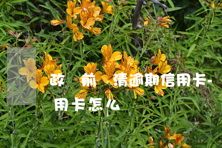 政審前還清逾期信用卡-政審前還清逾期信用卡怎么辦