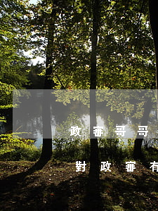 政審哥哥欠信用卡影響嗎（哥哥的信用卡逾期對政審有影響嗎）