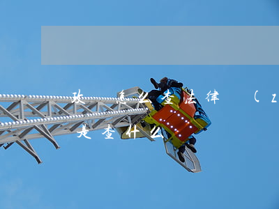 政審怎么查法律執(zhí)行(政審去法院是查什么)