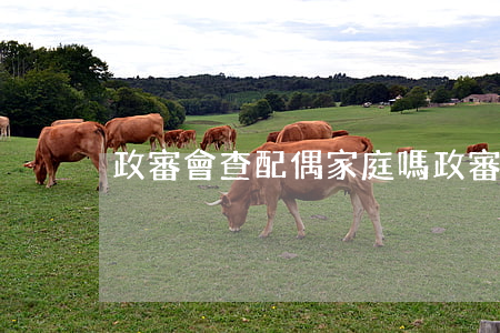 政審會查配偶家庭嗎(政審審查配偶父母嗎)