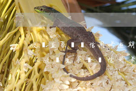 政審直系親屬信用卡逾期會(huì)影響不(政審直系親屬信用卡逾期會(huì)影響不)