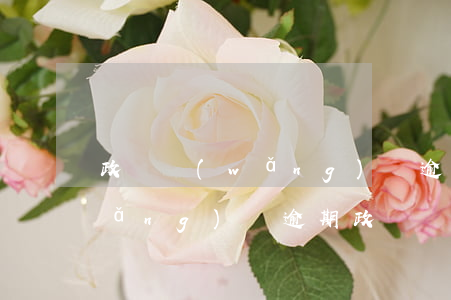 政審網(wǎng)貸逾期未還被刷(網(wǎng)貸逾期 政審)