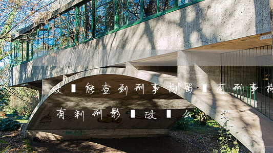 政審能查到刑事拘留嗎(有刑事拘留記錄但沒有判刑影響政審么)