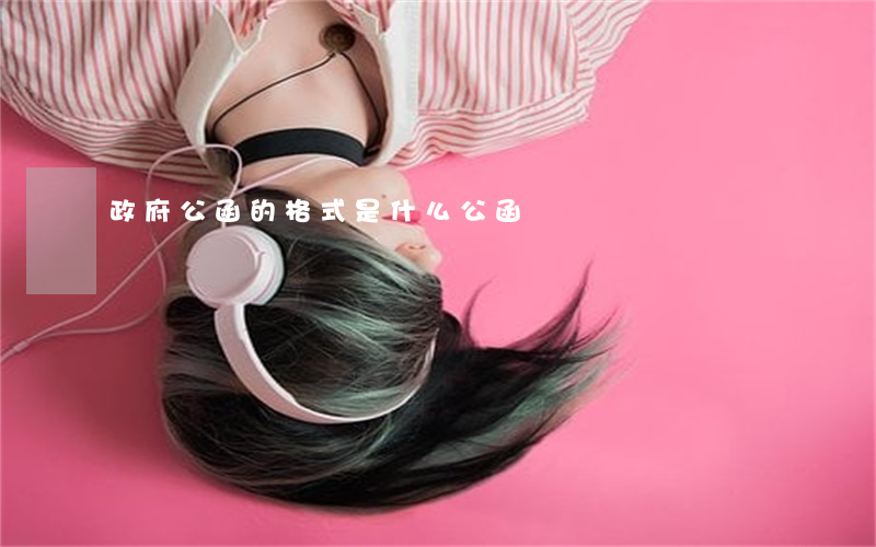 政府公函的格式是什么（公函）