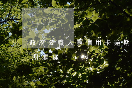 政府公職人員信用卡逾期(公職人員信用卡逾期處理)