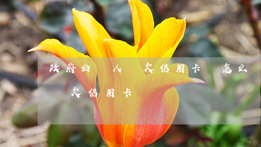 政府公職人員欠信用卡錢怎么辦（政府公職人員欠信用卡）