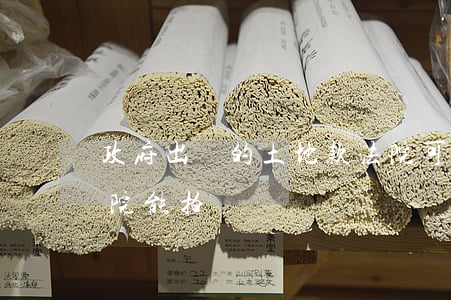 政府出讓的土地款法院可以封嗎(劃撥土地法院能拍賣嗎)