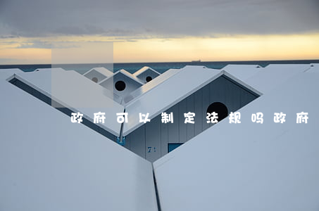政府可以制定法规吗(政府可以制定法规吗)