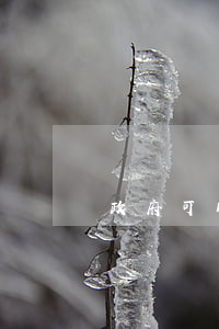政府可以立法規(guī)嗎(地方能立法嗎)