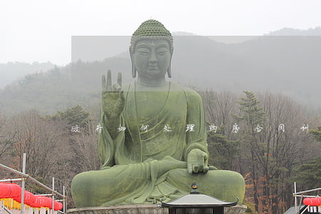 政府如何处理购房合同纠纷
