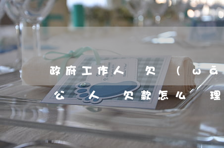 政府工作人員欠網(wǎng)貸怎么處理(公職人員欠款怎么處理)