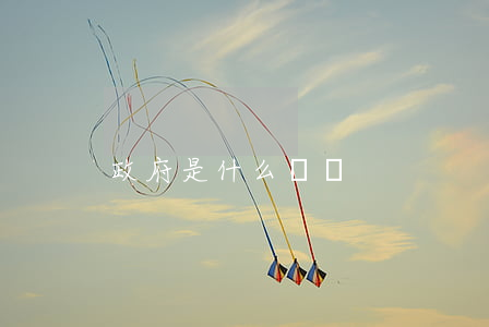 政府是什么機關