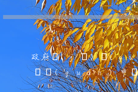 政府機(jī)關(guān)不受理土地確權(quán)申請(qǐng),能起訴政府嗎