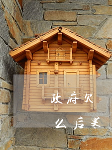 政府欠錢不給該怎么辦(欠政府的錢不還有什么后果)