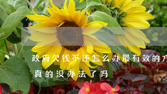政府欠钱不还怎么办最有效的方法(政府欠钱真的没办法了吗)