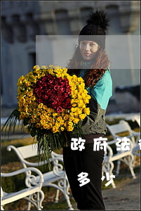 政府法律顧問一年多少錢(政府法律顧問一年多少錢)