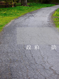 政府補助的分類有哪些（什么是政府補助）