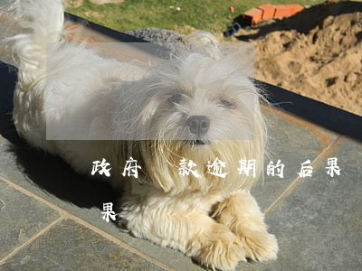 政府貸款逾期的后果(銀行貸款逾期有什么后果)