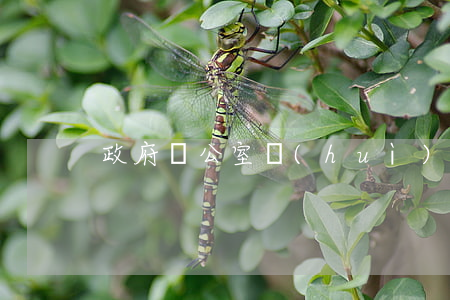 政府辦公室會(huì)管信用卡逾期嗎