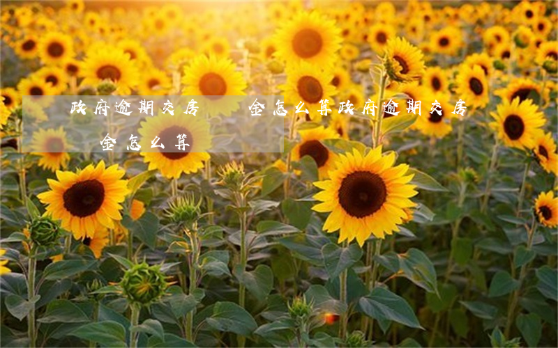 政府逾期交房違約金怎么算(政府逾期交房違約金怎么算)