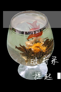 政府采購(gòu)發(fā)生糾紛可以提起訴訟嗎