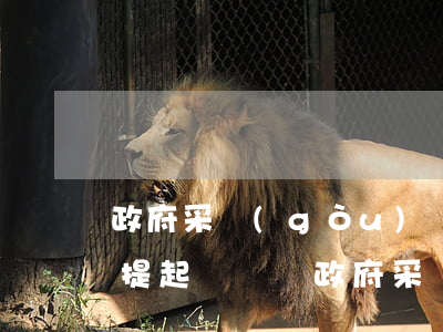 政府采購(gòu)發(fā)生糾紛可以提起訴訟嗎(政府采購(gòu)行政復(fù)議)