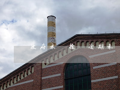 政府采購投訴逾期未處理可以直接起訴嗎