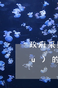 政府采購招標(biāo)代理機構(gòu)的執(zhí)業(yè)管理是什么