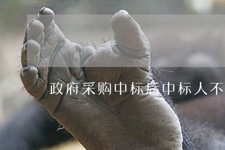 政府采购中标后中标人不签订合同如何处罚