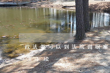 政法委可以到法院调取案卷吗(去法院调取卷宗手续)