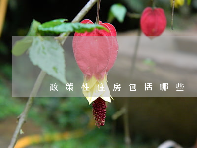 政策性住房包括哪些