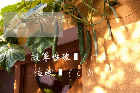 政策性破產(chǎn)停息掛賬(國家政策性破產(chǎn))