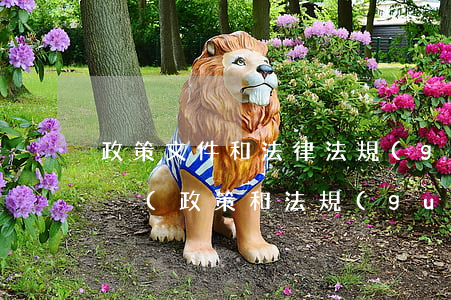 政策文件和法律法規(guī)區(qū)別(政策和法規(guī)有什么區(qū)別)