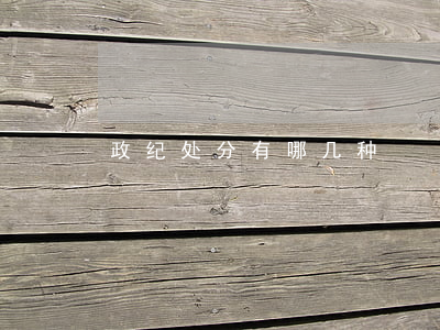 政纪处分有哪几种
