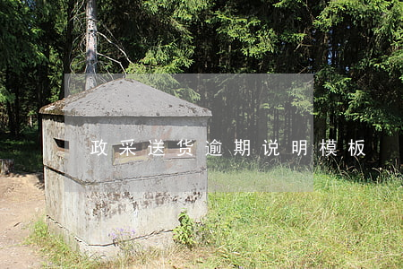 政采送货逾期说明模板
