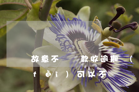 故意不讓還款收逾期費(fèi)(逾期費(fèi)可以不還嗎)