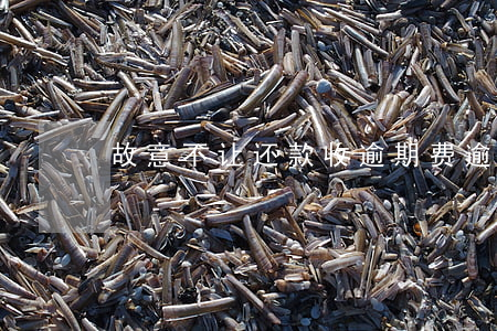 故意不让还款收逾期费(逾期费可以不还吗)