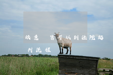 故意傷害可以到法院起訴嗎(故意傷害法院宣判流程)