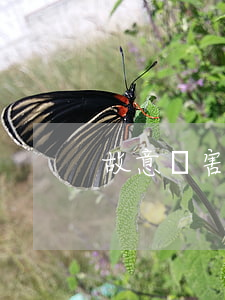 故意傷害罪公訴意見書范文