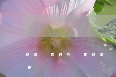 故意傷害罪判幾年(故意傷害罪判幾年有期徒刑)